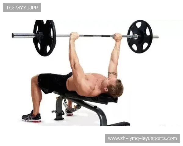 推荐几款杠铃健身器材 新手入门到专业训练全覆盖