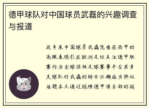 德甲球队对中国球员武磊的兴趣调查与报道