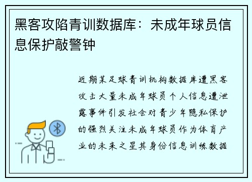 黑客攻陷青训数据库：未成年球员信息保护敲警钟